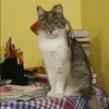Отзыв от Элла Куприянова
